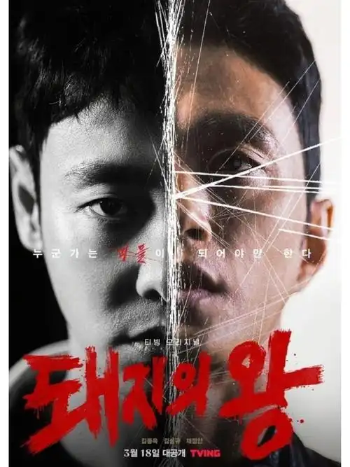 私人情侣影院 怦然心动 经典浪漫片 双人观影